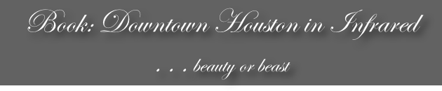 Book: Downtown Houston in Infrared
. . . beauty or beast